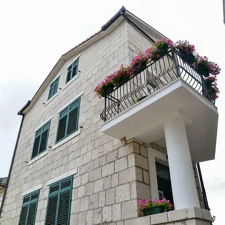 Olujic *